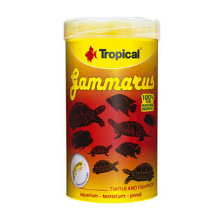 Tropical Gammarus alimento para reptiles